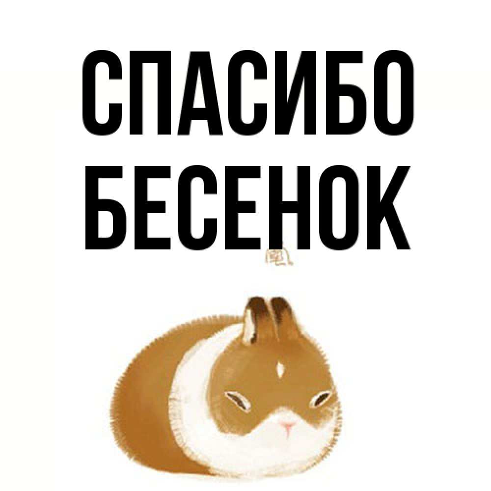 Открытка на каждый день с именем, Бесенок Спасибо коричнево белый домашний питомец Прикольная открытка с пожеланием онлайн скачать бесплатно 