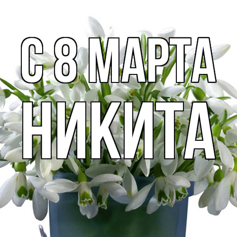 Открытка на каждый день с именем, Никита C 8 МАРТА цветы к международному женскому дню Прикольная открытка с пожеланием онлайн скачать бесплатно 