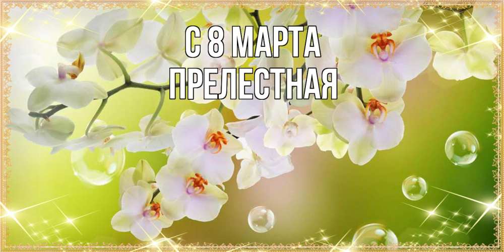 Открытка на каждый день с именем, Прелестная C 8 МАРТА открытка с цветами на международный женский день Прикольная открытка с пожеланием онлайн скачать бесплатно 