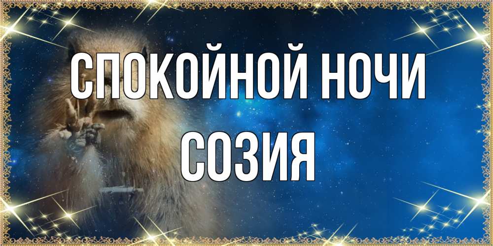 Открытка на каждый день с именем, Созия Спокойной ночи спокойной ночи сладких снов Прикольная открытка с пожеланием онлайн скачать бесплатно 