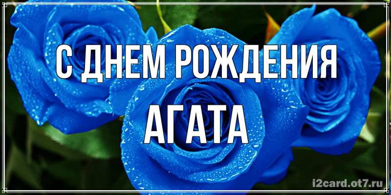Картинка С днем рождения, Агата