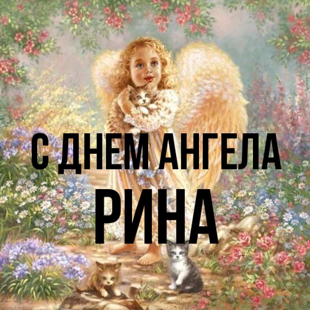 Открытка на каждый день с именем, Рина С днем ангела держит котенка Прикольная открытка с пожеланием онлайн скачать бесплатно 