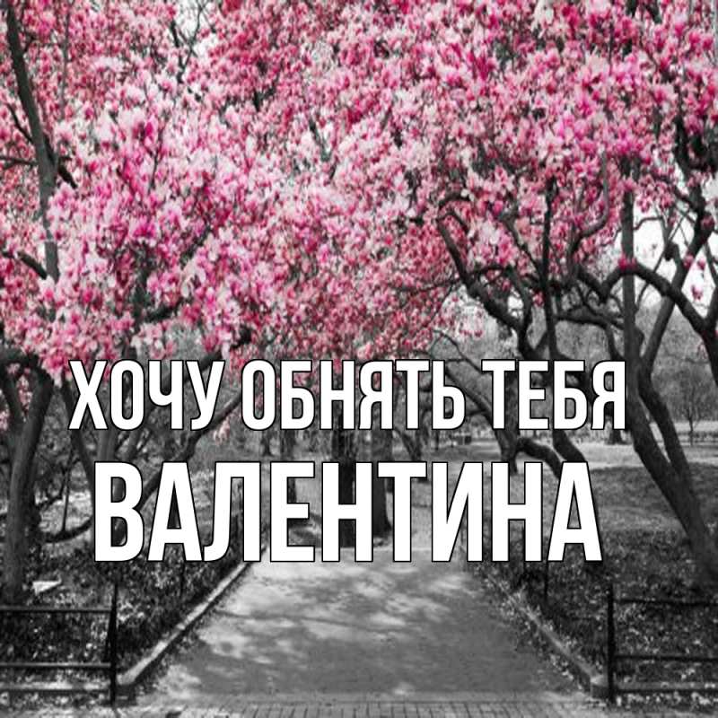 Картинка Хочу обнять тебя, Валентина
