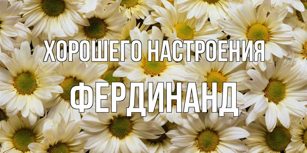 Открытка на каждый день с именем, Фердинанд Хорошего настроения крупные ромашки Прикольная открытка с пожеланием онлайн скачать бесплатно 