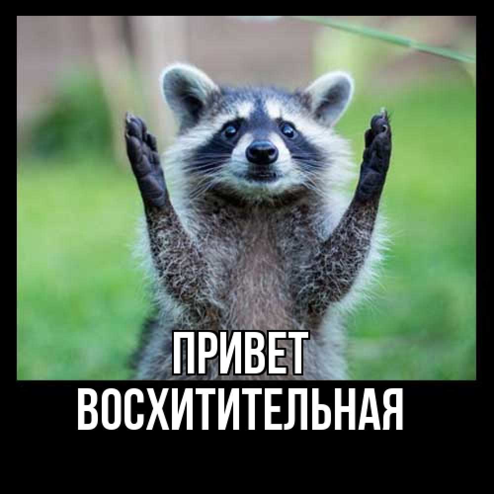 Открытка на каждый день с именем, восхитительная Привет животные Прикольная открытка с пожеланием онлайн скачать бесплатно 