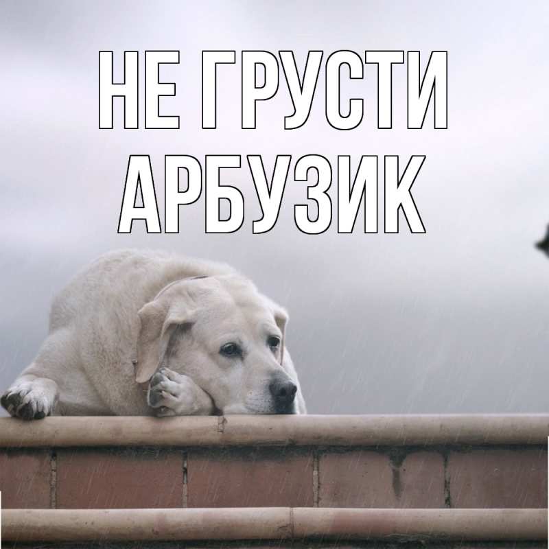 Картинка Не грусти, Арбузик