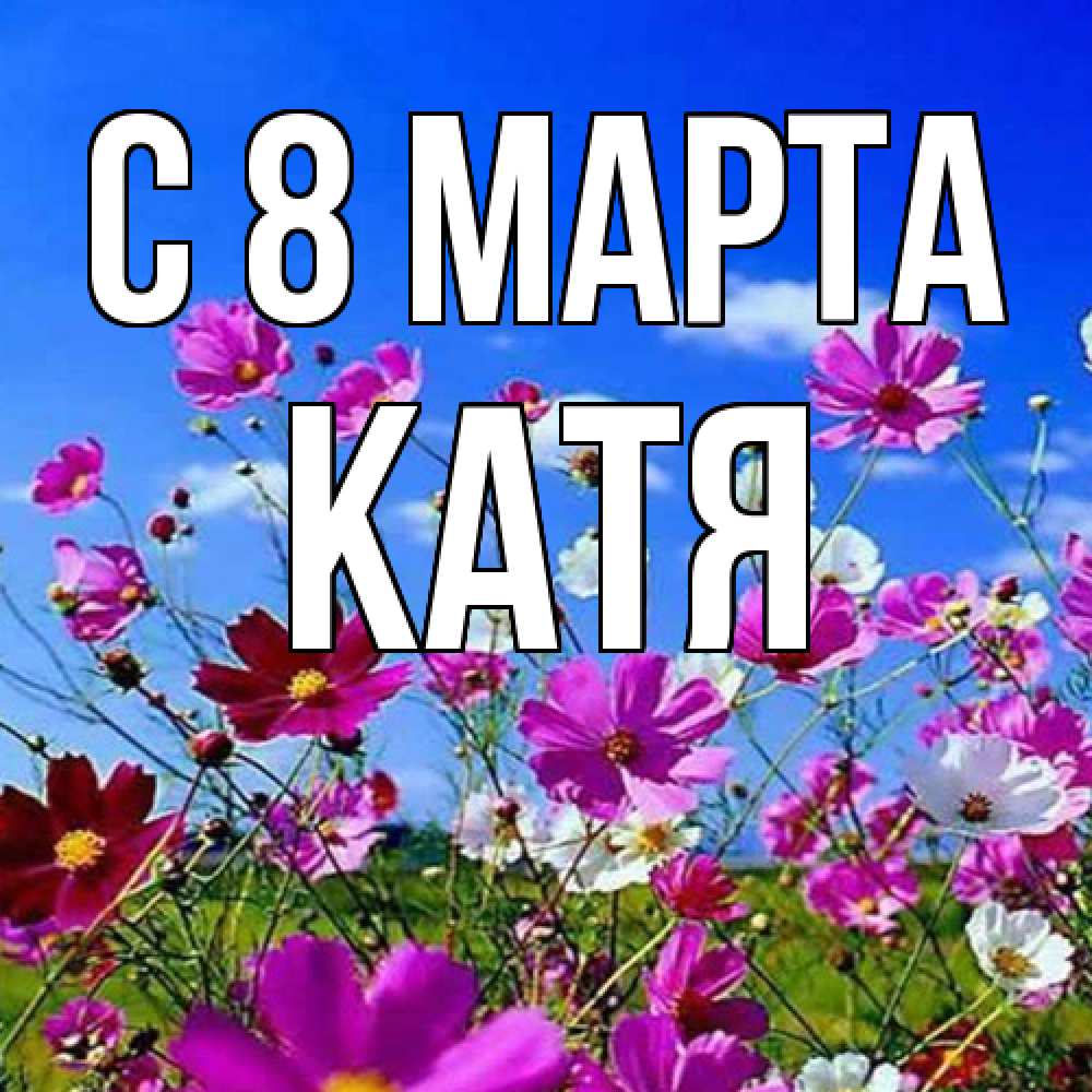 Открытка на каждый день с именем, Катя C 8 МАРТА цветы Прикольная открытка с пожеланием онлайн скачать бесплатно 
