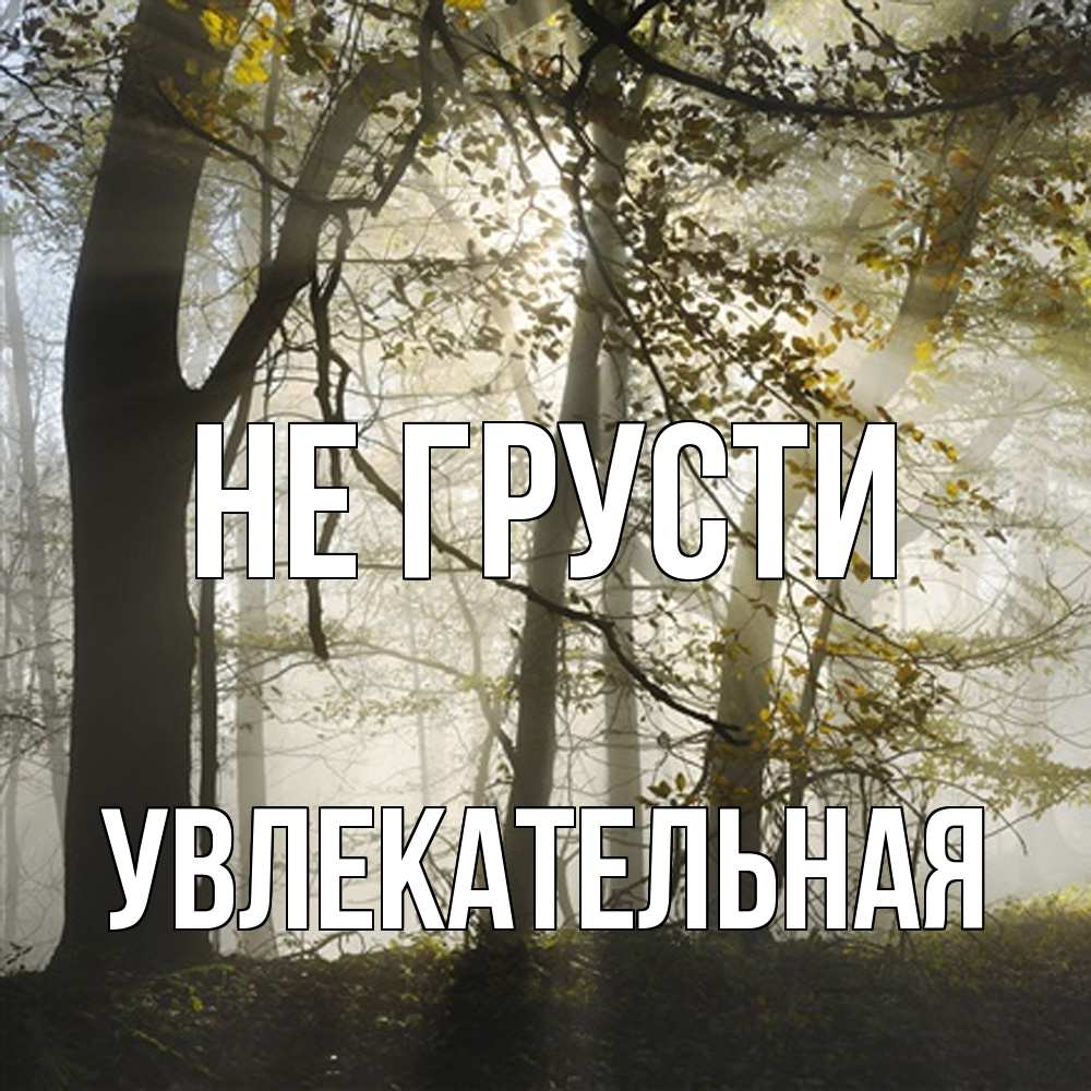 Открытка на каждый день с именем, Увлекательная Не грусти лес и свет Прикольная открытка с пожеланием онлайн скачать бесплатно 