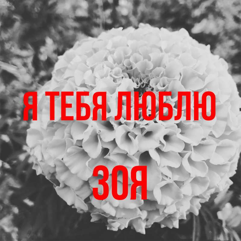Открытка с именем, Зоя, Я тебя люблю