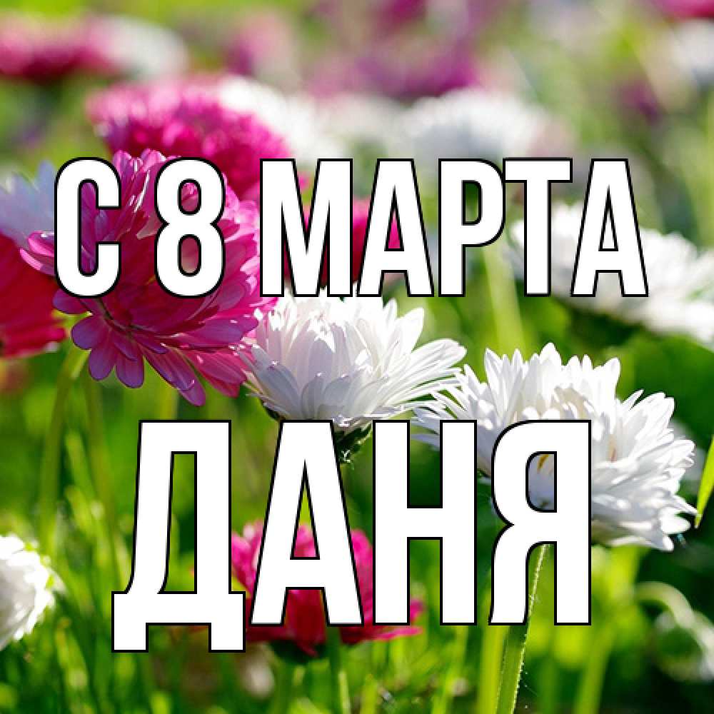 Открытка на каждый день с именем, Даня C 8 МАРТА международный женский день 1 Прикольная открытка с пожеланием онлайн скачать бесплатно 