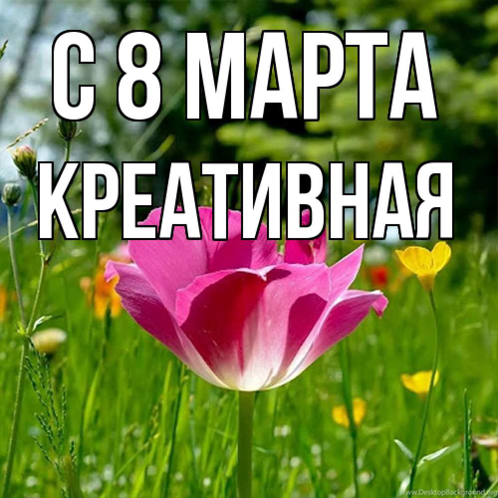 Открытка на каждый день с именем, Креативная C 8 МАРТА полевые цветы Прикольная открытка с пожеланием онлайн скачать бесплатно 