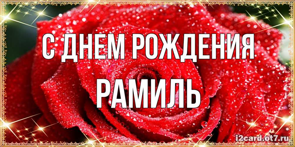 Открытка на каждый день с именем, Рамиль С днем рождения роса и роза. открытка с красивой розой Прикольная открытка с пожеланием онлайн скачать бесплатно 