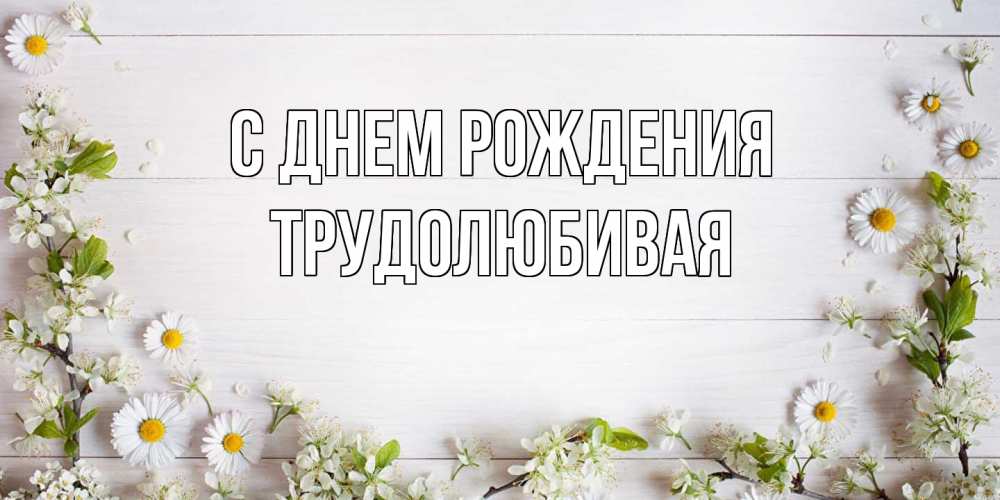 Открытка на каждый день с именем, Трудолюбивая С днем рождения Воздушные шары Прикольная открытка с пожеланием онлайн скачать бесплатно 