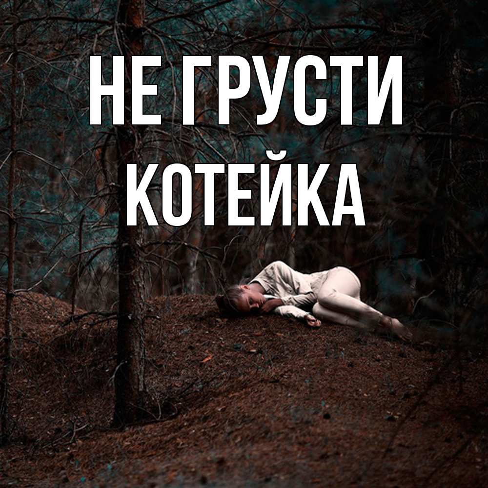Открытка на каждый день с именем, Котейка Не грусти лес Прикольная открытка с пожеланием онлайн скачать бесплатно 
