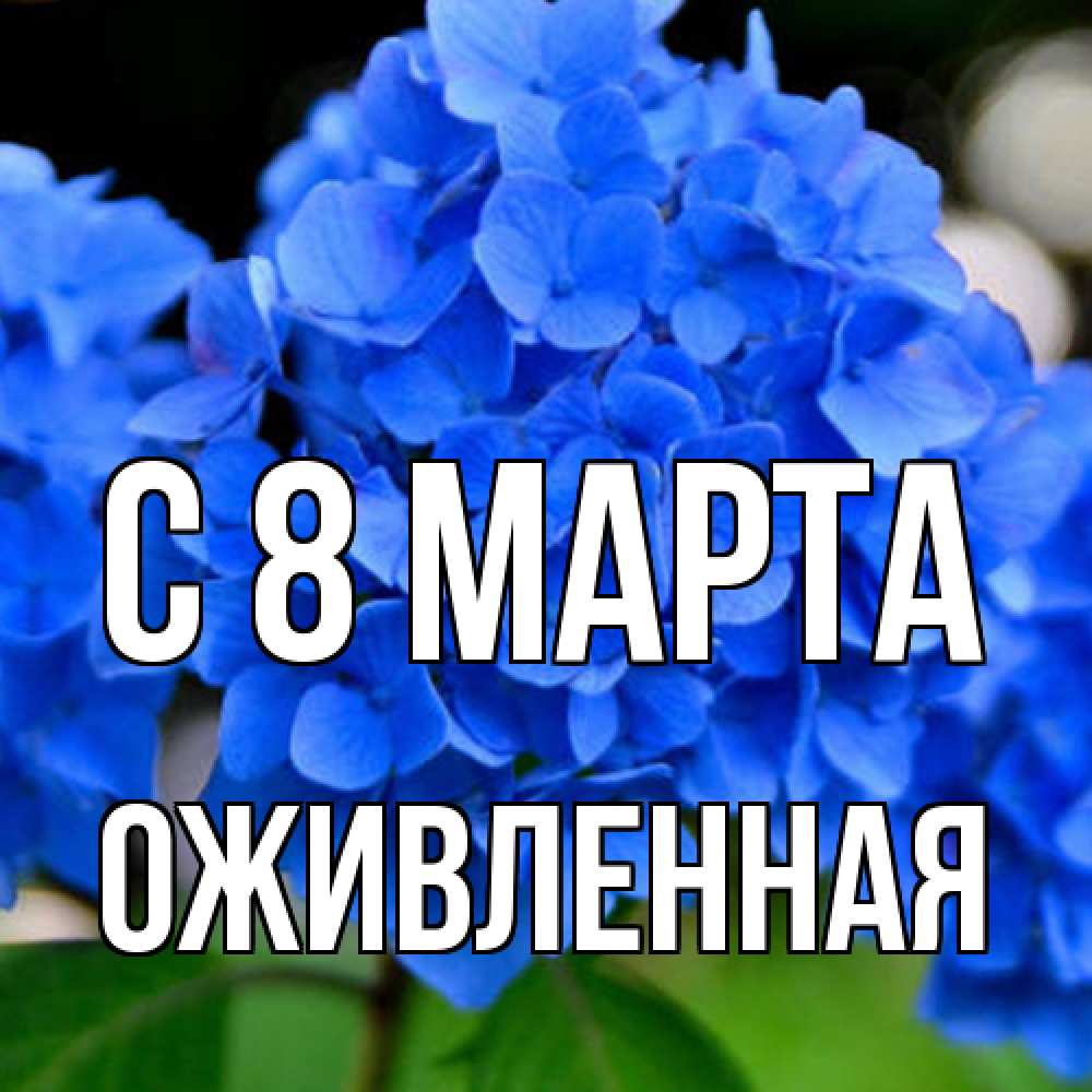 Открытка на каждый день с именем, Оживленная C 8 МАРТА синие цветы Прикольная открытка с пожеланием онлайн скачать бесплатно 