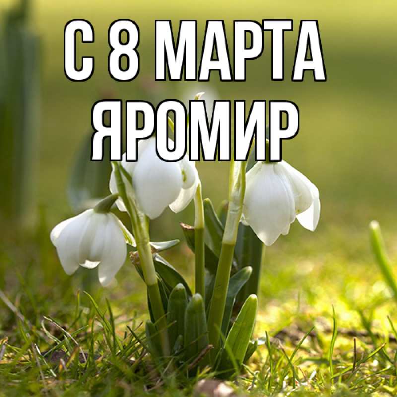 Картинка C 8 МАРТА, Яромир