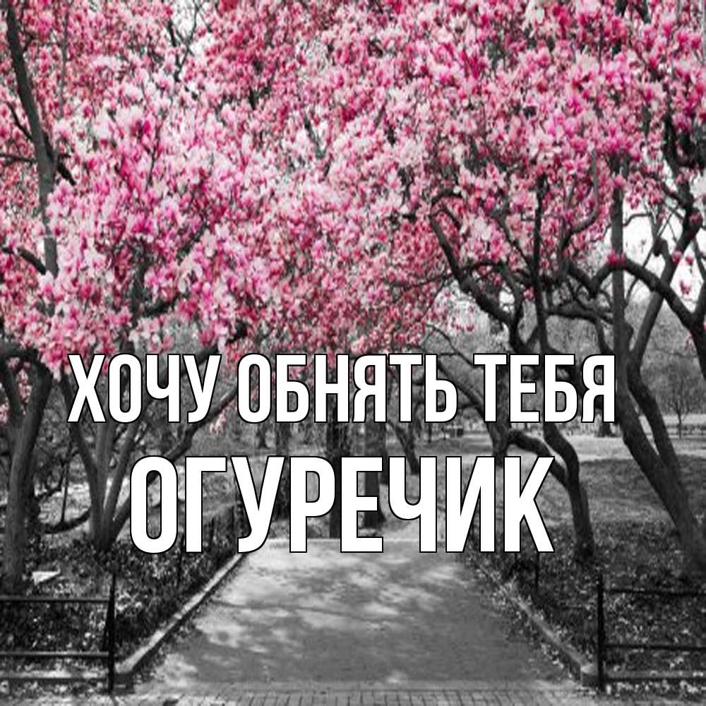 Открытка на каждый день с именем, Огуречик Хочу обнять тебя обработанное фото Прикольная открытка с пожеланием онлайн скачать бесплатно 