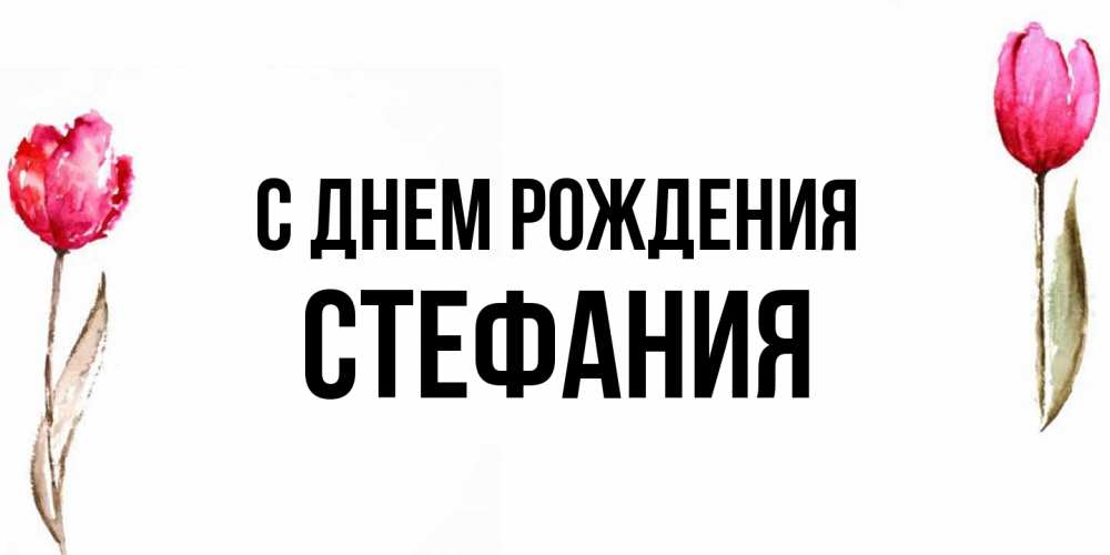 Открытка на каждый день с именем, Стефания С днем рождения открытки акварелью с цветами Прикольная открытка с пожеланием онлайн скачать бесплатно 