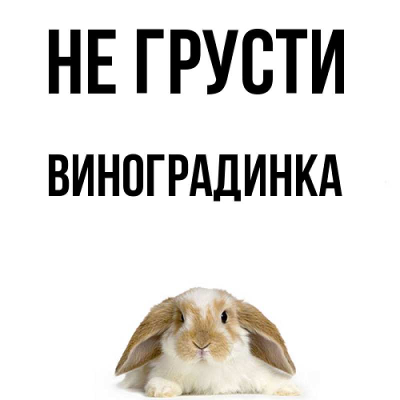 Картинка Не грусти, виноградинка