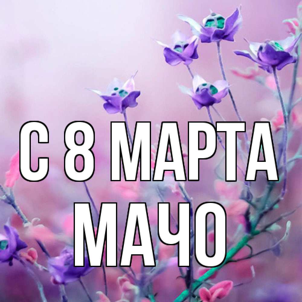 Открытка на каждый день с именем, Мачо C 8 МАРТА международный женский день 2 Прикольная открытка с пожеланием онлайн скачать бесплатно 