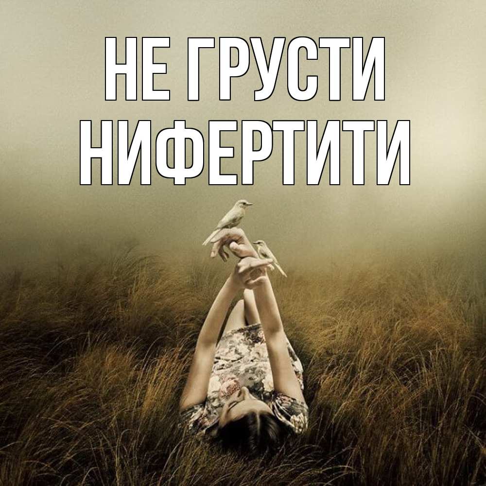 Открытка на каждый день с именем, Нифертити Не грусти поле и туман Прикольная открытка с пожеланием онлайн скачать бесплатно 