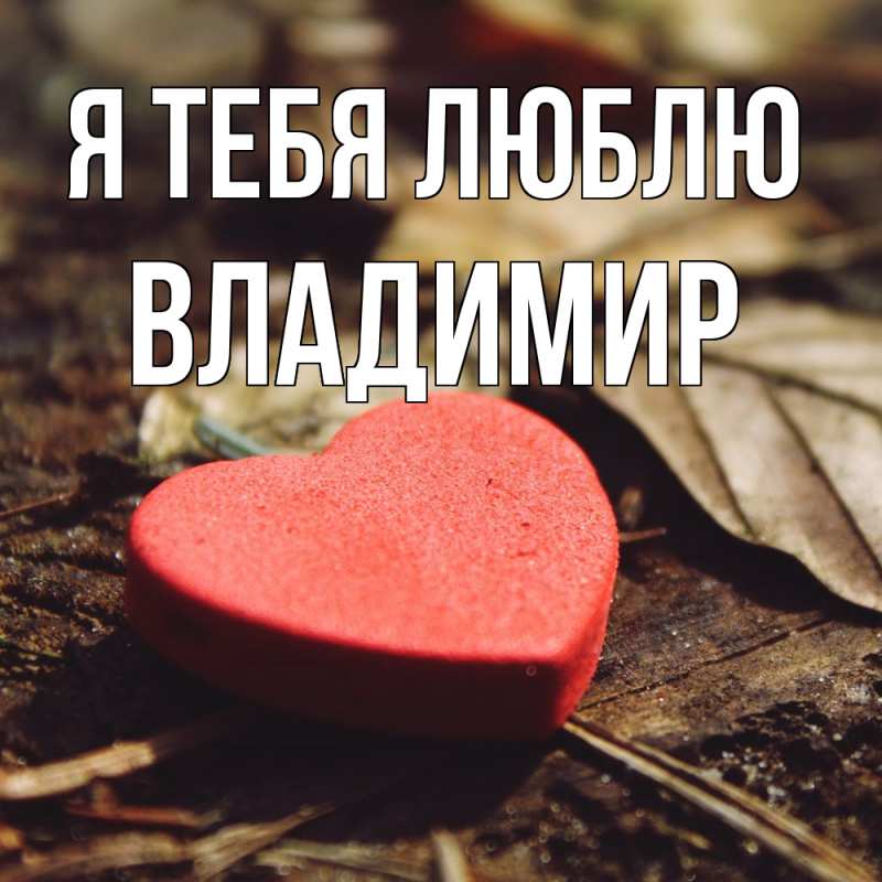 Картинка Я тебя люблю, Владимир