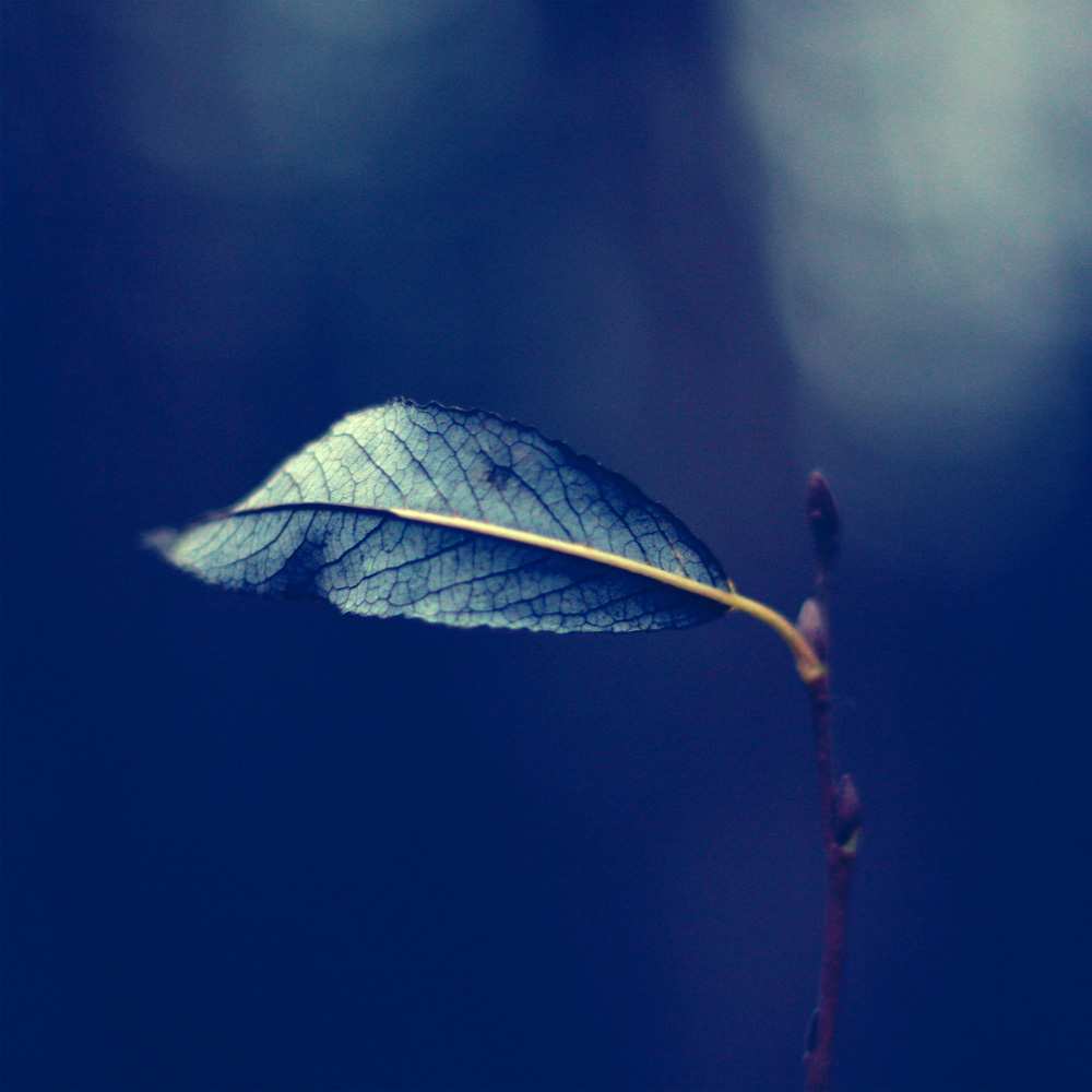 Открытка на каждый день с именем, Аквамен Не грусти растение Прикольная открытка с пожеланием онлайн скачать бесплатно 