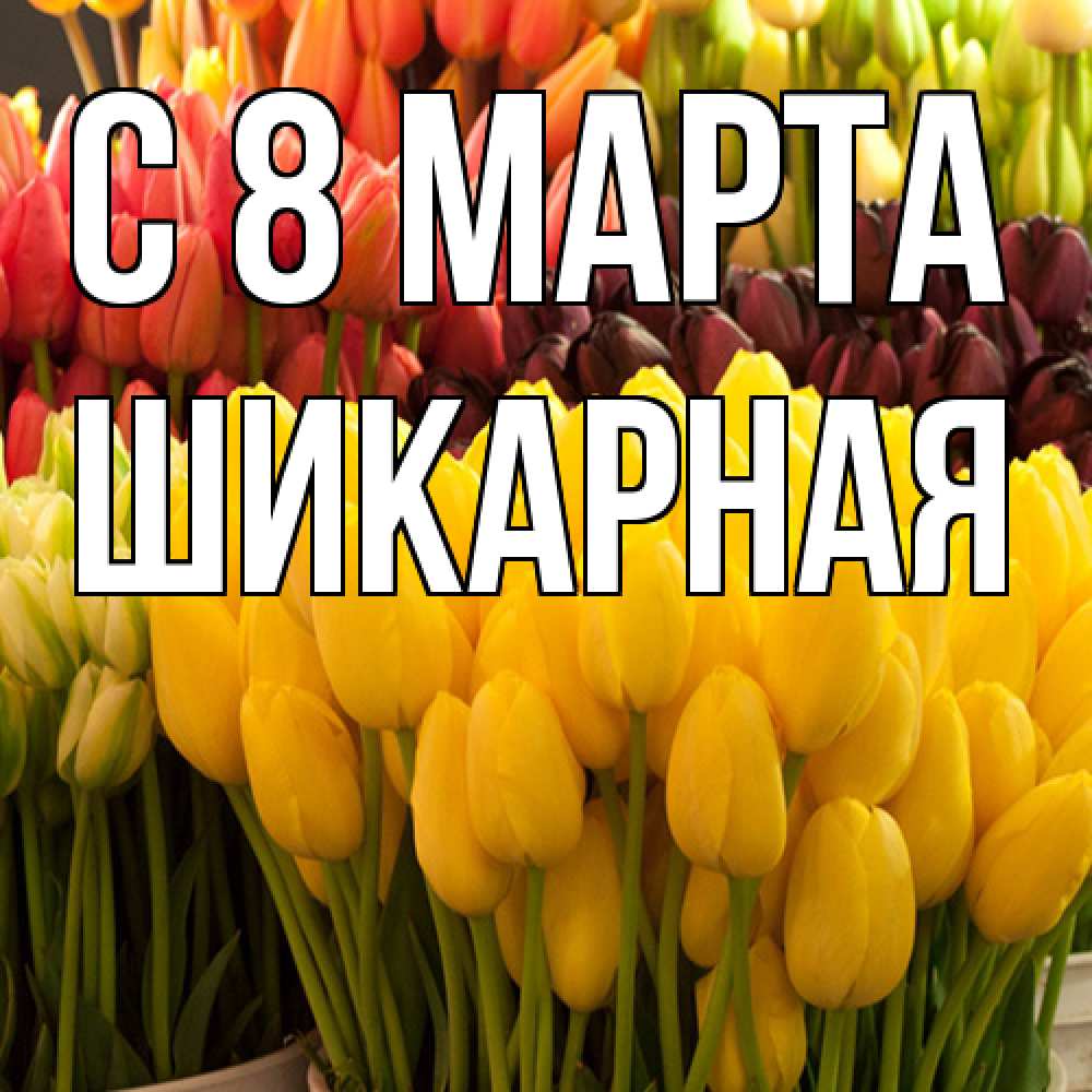 Открытка на каждый день с именем, шикарная C 8 МАРТА цветы Прикольная открытка с пожеланием онлайн скачать бесплатно 