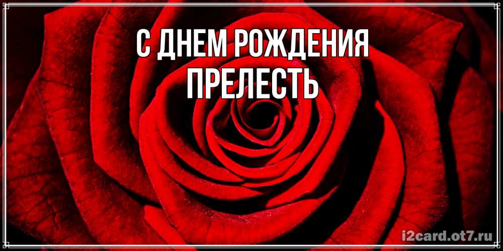 Открытка на каждый день с именем, прелесть С днем рождения алая роза Прикольная открытка с пожеланием онлайн скачать бесплатно 