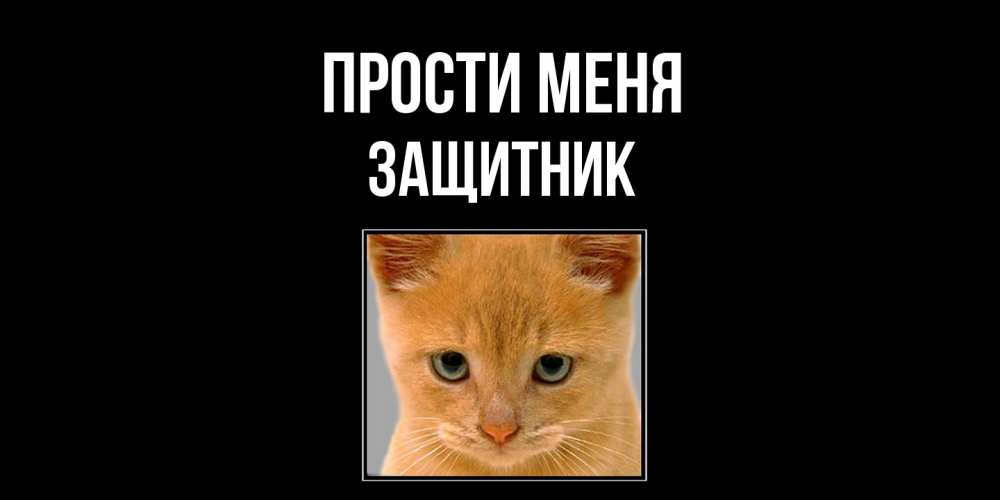 Открытка на каждый день с именем, Защитник Прости меня рыжий грустный кот просит прощения Прикольная открытка с пожеланием онлайн скачать бесплатно 