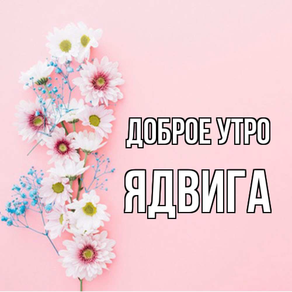 Открытка на каждый день с именем, Ядвига Доброе утро цветы с подписью Прикольная открытка с пожеланием онлайн скачать бесплатно 