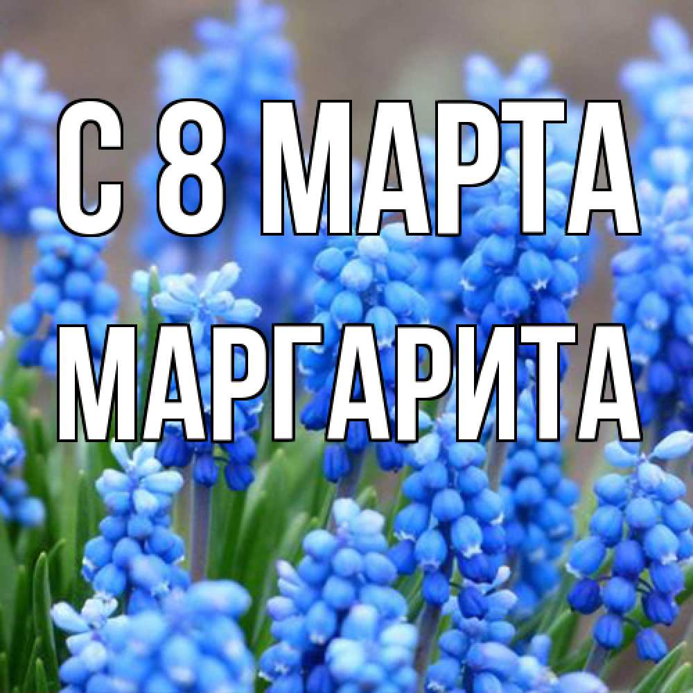 Открытка на каждый день с именем, Маргарита C 8 МАРТА Поздравительная открытка для женщин с цветами на праздничную дату Прикольная открытка с пожеланием онлайн скачать бесплатно 