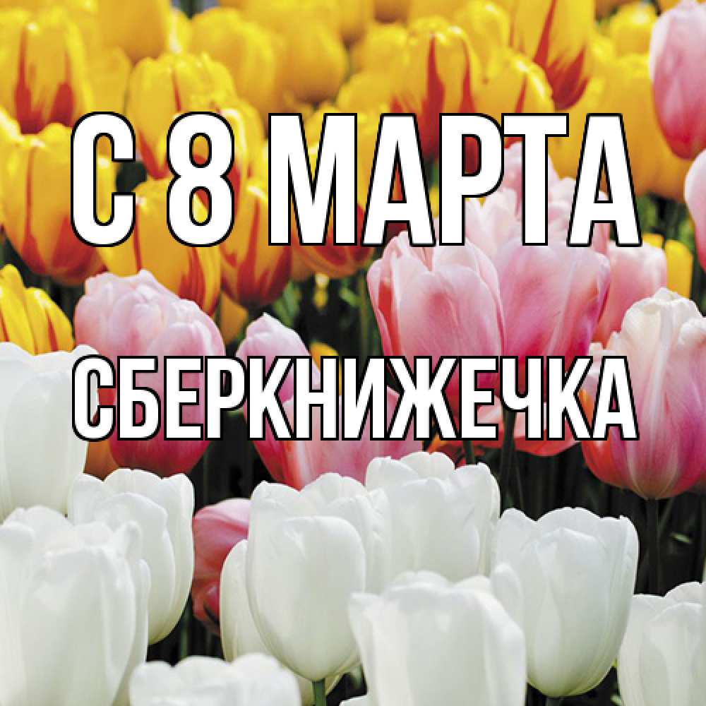 Открытка на каждый день с именем, сберкнижечка C 8 МАРТА разноцветные цветы Прикольная открытка с пожеланием онлайн скачать бесплатно 