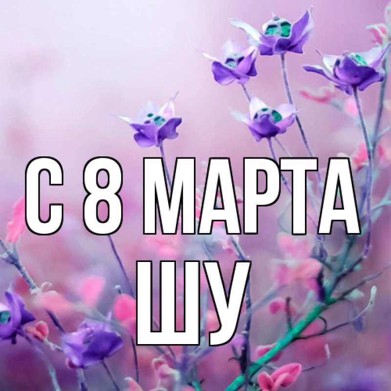 Картинка C 8 МАРТА, Шу