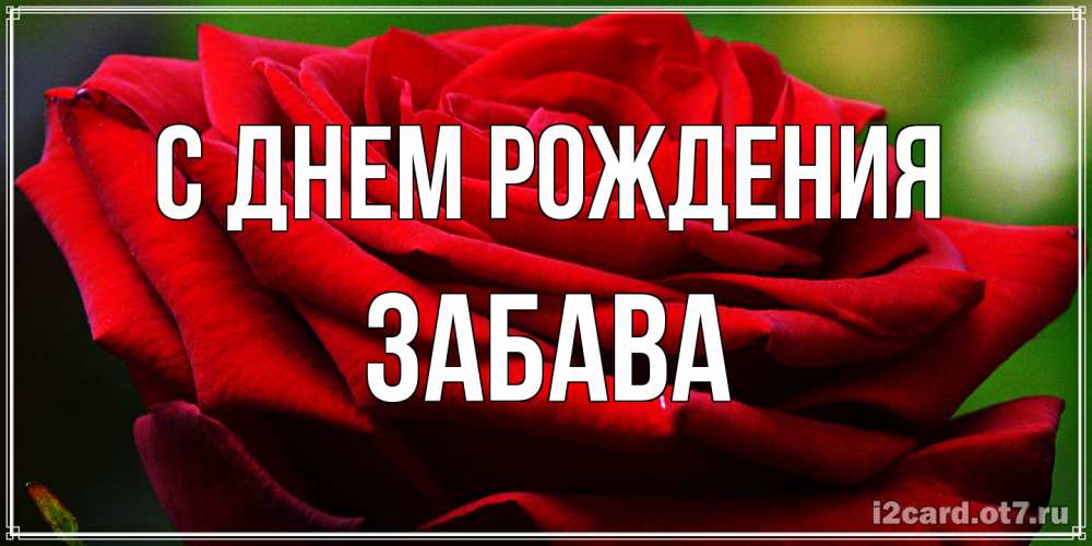 Открытка на каждый день с именем, Забава С днем рождения розочка очень красивая Прикольная открытка с пожеланием онлайн скачать бесплатно 