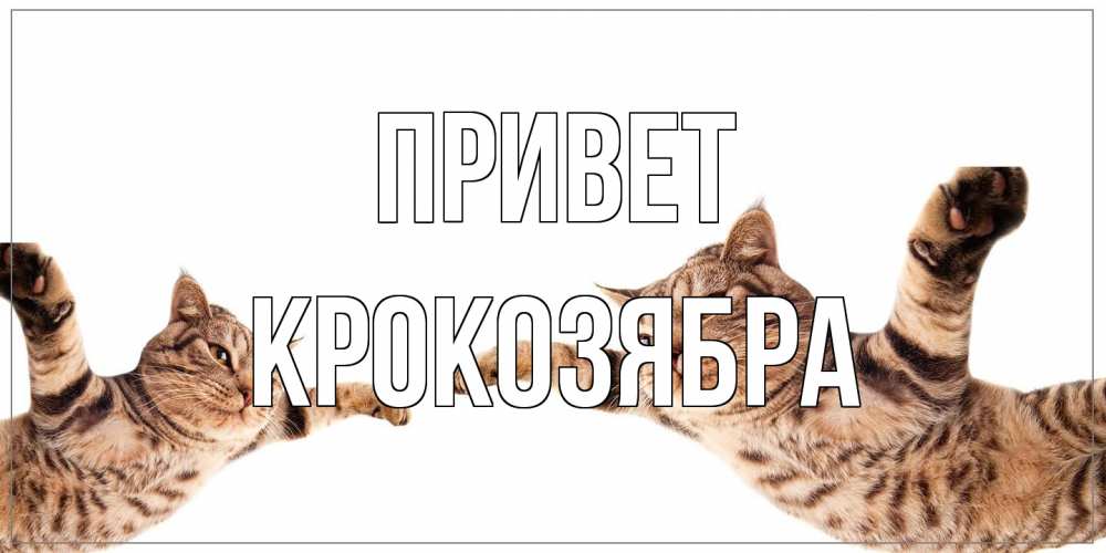Открытка на каждый день с именем, Крокозябра Привет кот Прикольная открытка с пожеланием онлайн скачать бесплатно 