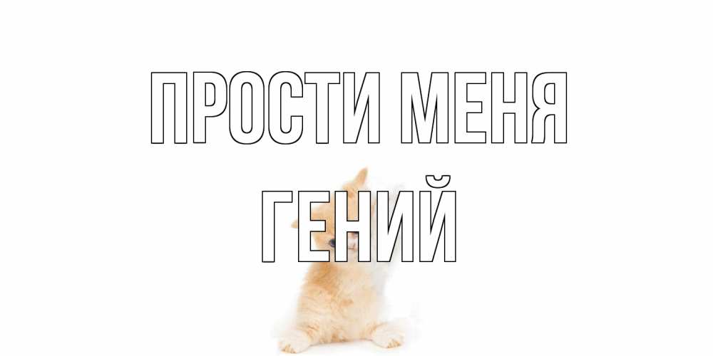 Открытка на каждый день с именем, Гений Прости меня кот Прикольная открытка с пожеланием онлайн скачать бесплатно 
