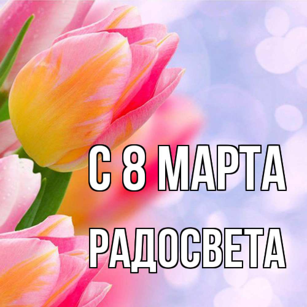 Открытка на каждый день с именем, Радосвета C 8 МАРТА тюльпаны 2 Прикольная открытка с пожеланием онлайн скачать бесплатно 