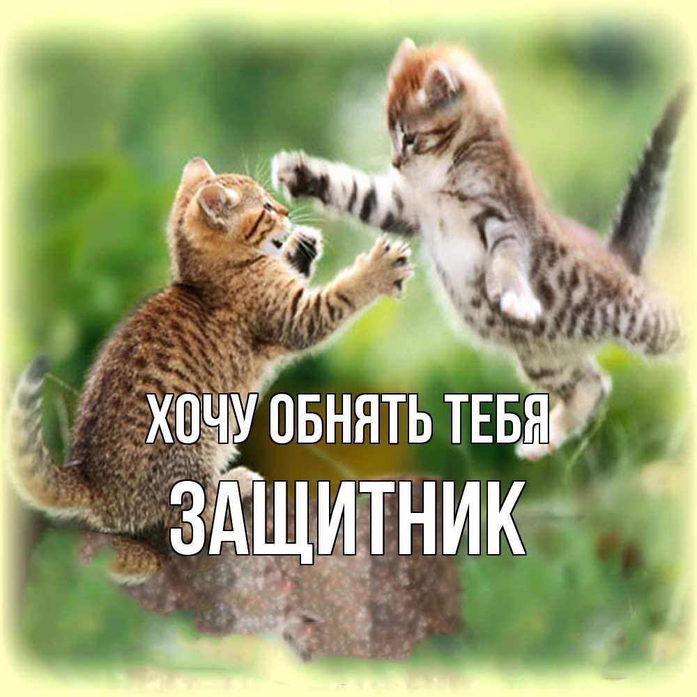 Открытка на каждый день с именем, Защитник Хочу обнять тебя игры котят Прикольная открытка с пожеланием онлайн скачать бесплатно 