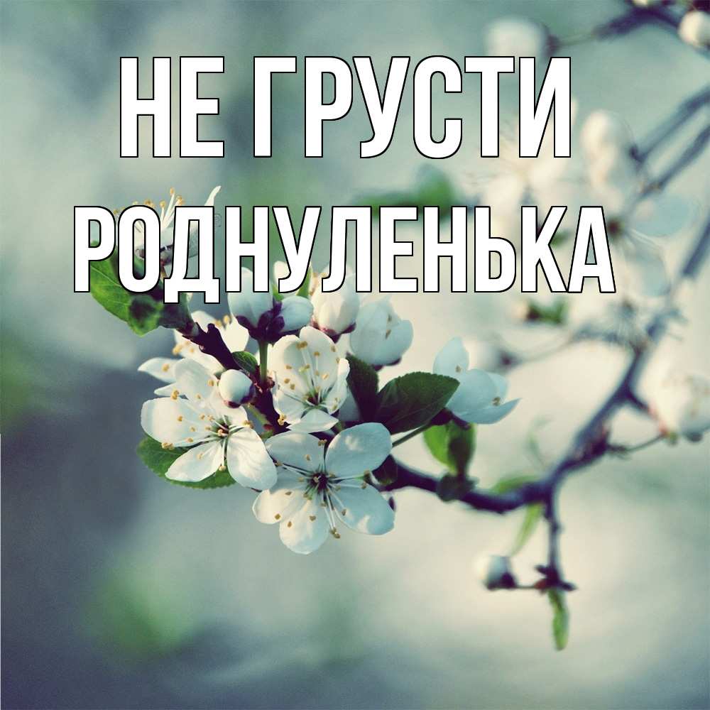Открытка на каждый день с именем, Роднуленька Не грусти яблоня в цвету 1 Прикольная открытка с пожеланием онлайн скачать бесплатно 