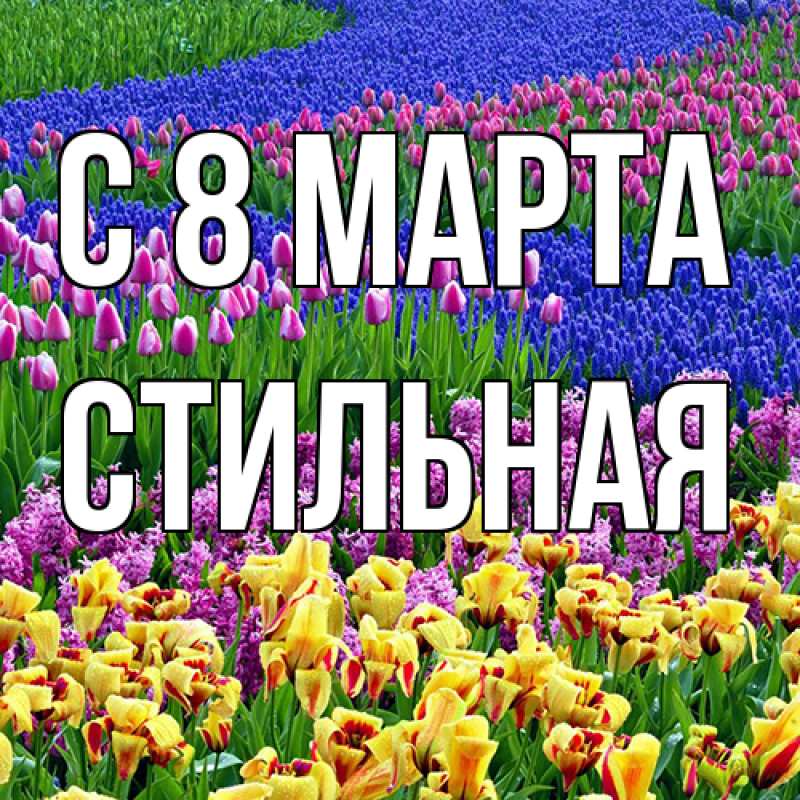 Картинка C 8 МАРТА, Стильная