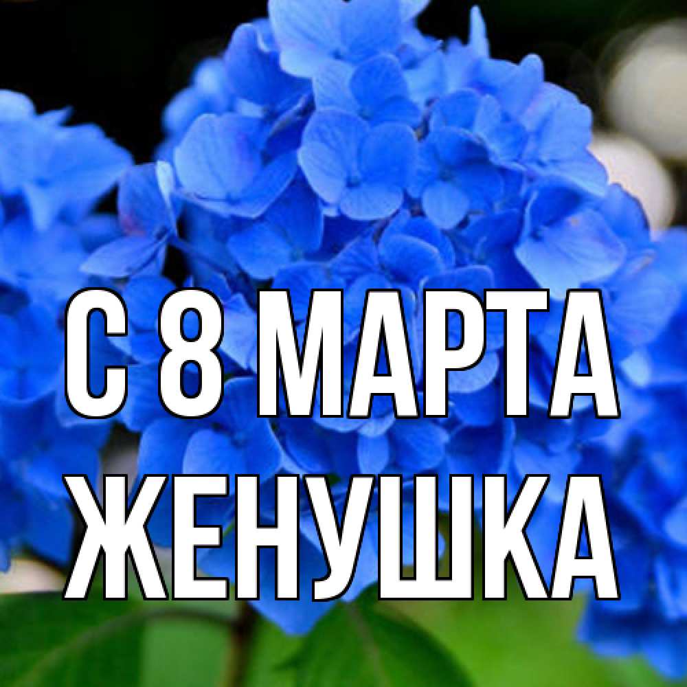 Открытка на каждый день с именем, женушка C 8 МАРТА синие цветы Прикольная открытка с пожеланием онлайн скачать бесплатно 