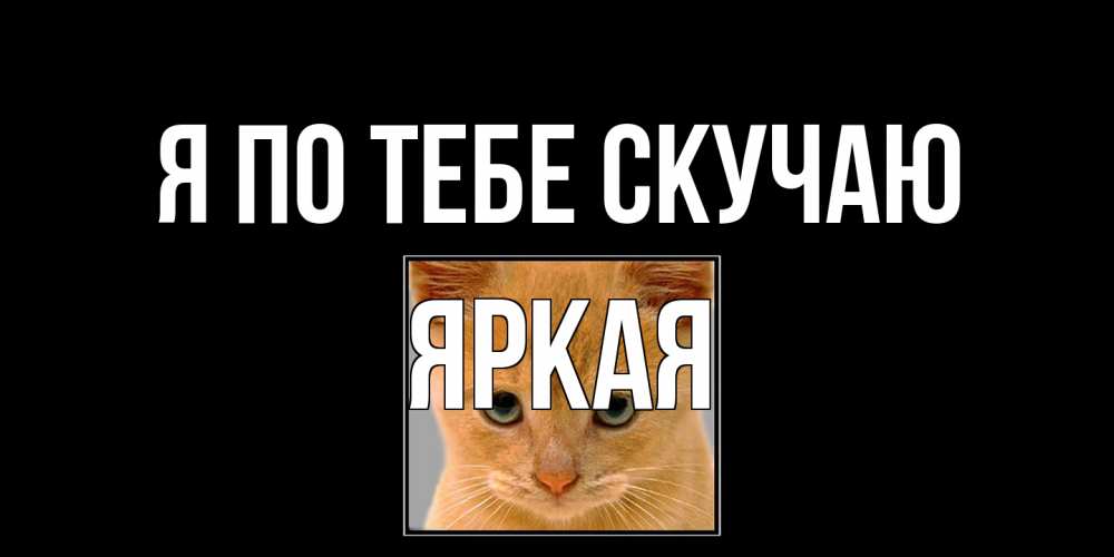 Открытка на каждый день с именем, яркая Я по тебе скучаю открытки рыжий котенок скучает по тебе Прикольная открытка с пожеланием онлайн скачать бесплатно 