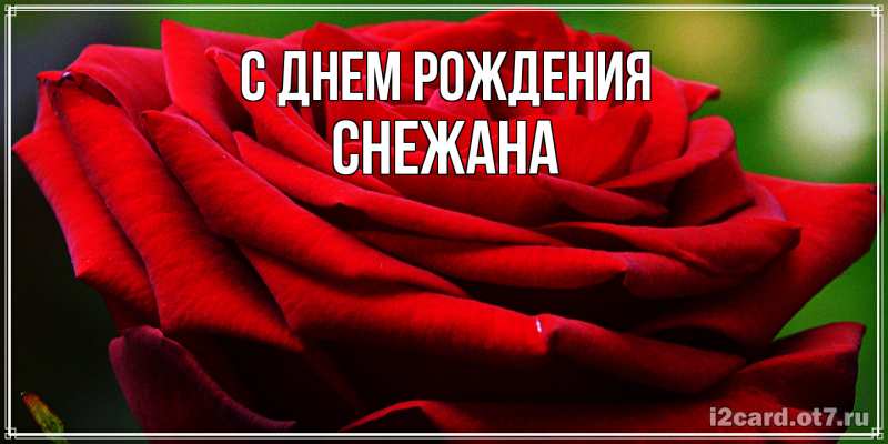 Картинка С днем рождения, Снежана