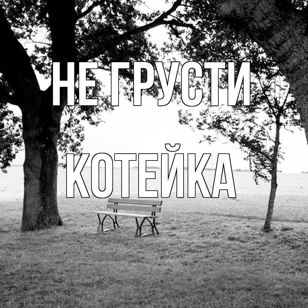 Открытка на каждый день с именем, Котейка Не грусти мощное дерево Прикольная открытка с пожеланием онлайн скачать бесплатно 