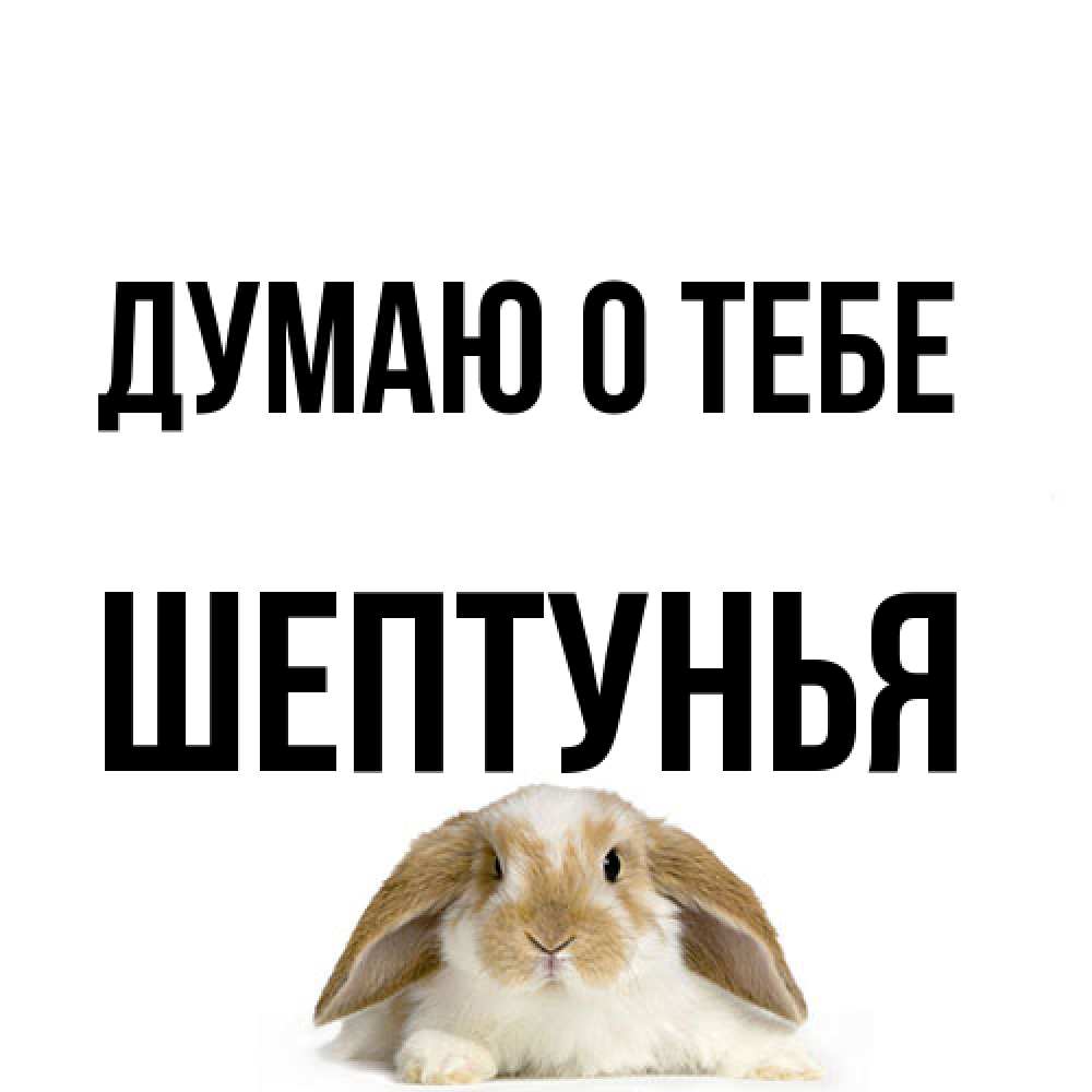 Открытка на каждый день с именем, Шептунья Думаю о тебе подписать своими руками онлайн Прикольная открытка с пожеланием онлайн скачать бесплатно 