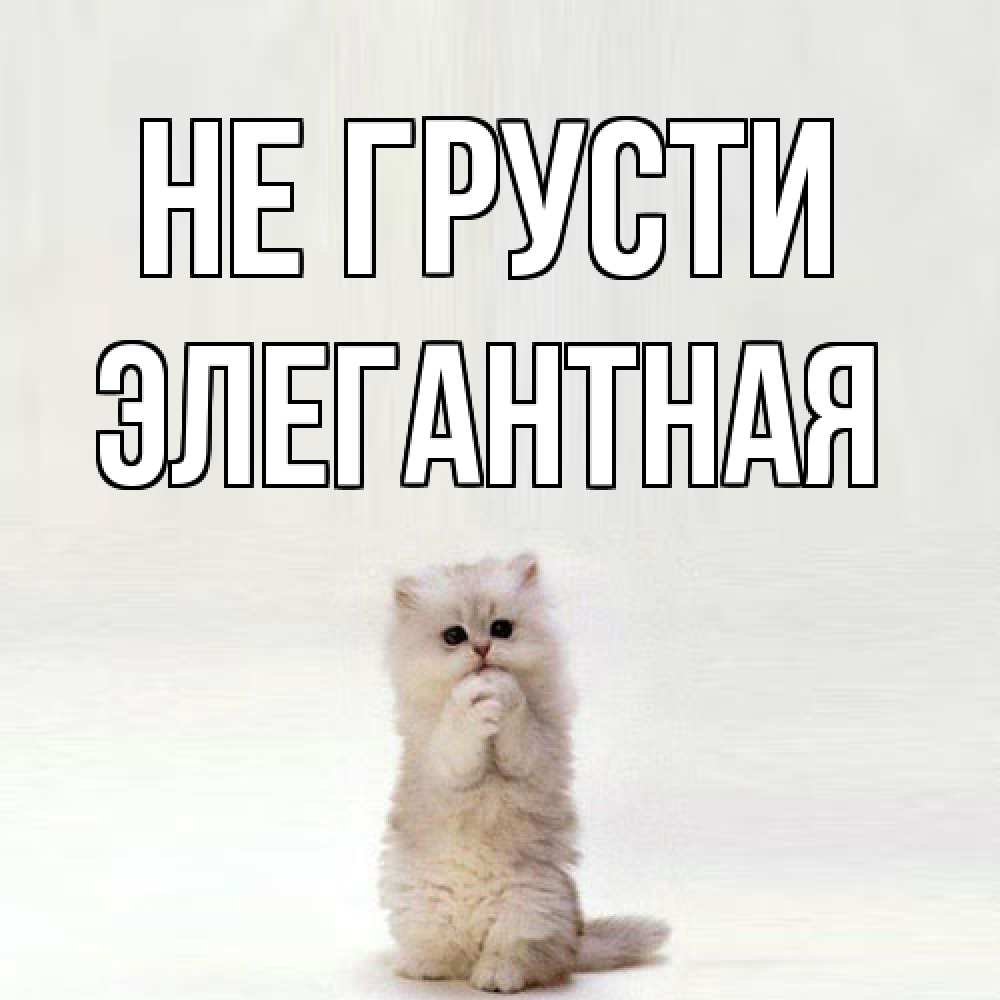 Открытка на каждый день с именем, элегантная Не грусти грустный кот Прикольная открытка с пожеланием онлайн скачать бесплатно 