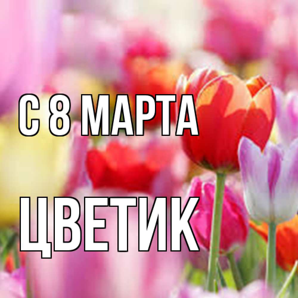 Открытка на каждый день с именем, цветик C 8 МАРТА на международный женский день 2 Прикольная открытка с пожеланием онлайн скачать бесплатно 