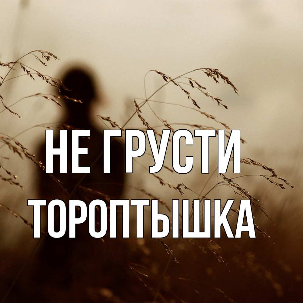 Открытка на каждый день с именем, Тороптышка Не грусти грусть Прикольная открытка с пожеланием онлайн скачать бесплатно 