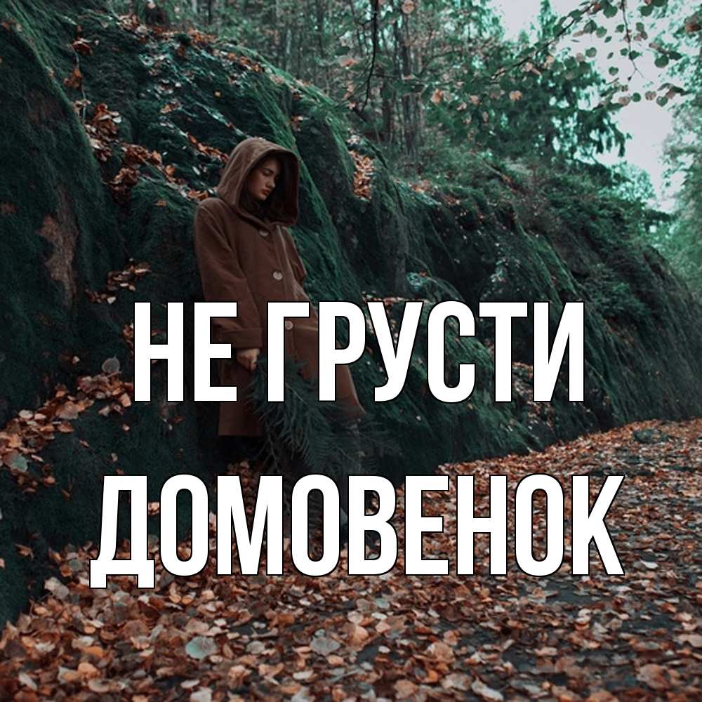 Открытка на каждый день с именем, Домовенок Не грусти осенний лес Прикольная открытка с пожеланием онлайн скачать бесплатно 